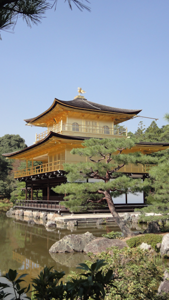 a view of the temple through trees